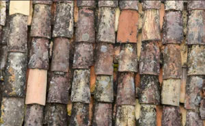Southeast-Asia-roof-mold-distribution-map